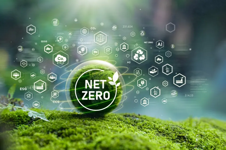 Xu Hướng Sống Xanh 2026: Lối Sống Net Zero Tại Việt Nam